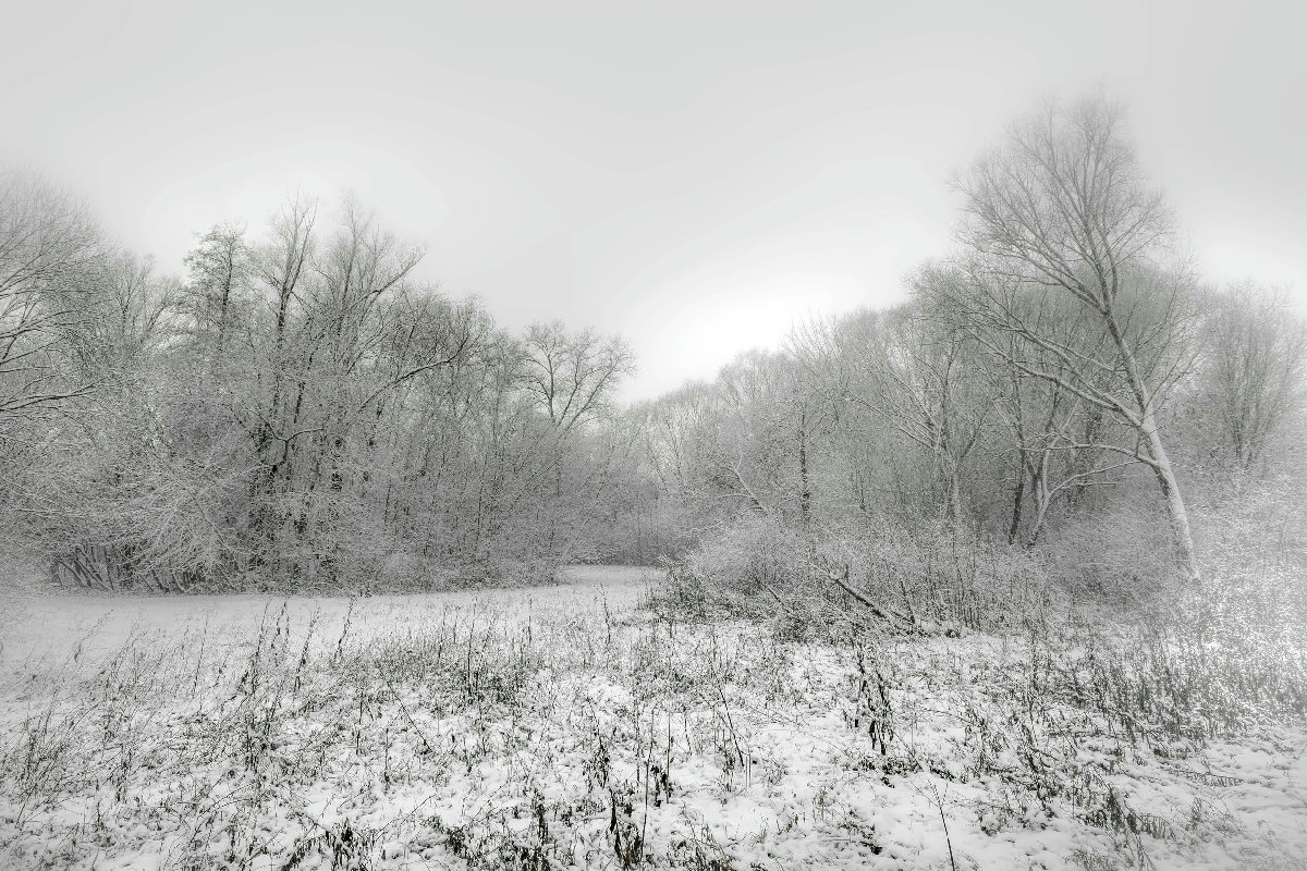 Why Does Nova Scotia “Shut Down” for Snow?