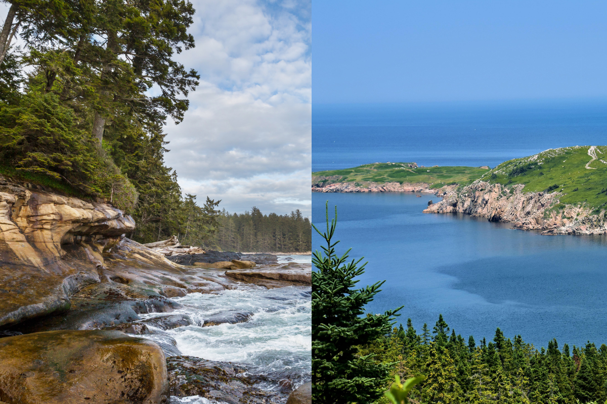 Vancouver Island or Nova Scotia? An Honest Comparison for People Choosing Between Them